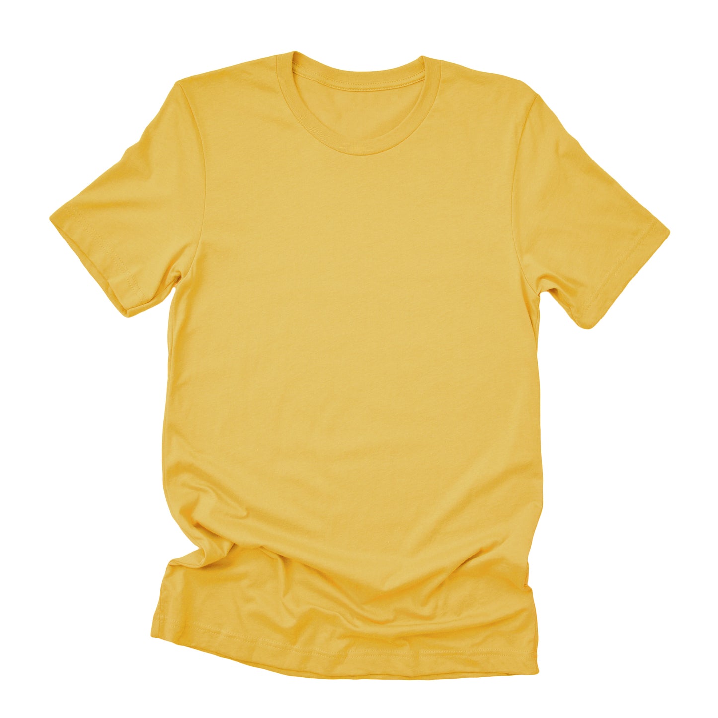 Historic Neighborhood - Custom Duo-Tone T-Shirt