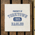 Vintage Varsity, Property Of  - Custom City/State/Est. Swedish Dish Cloth
